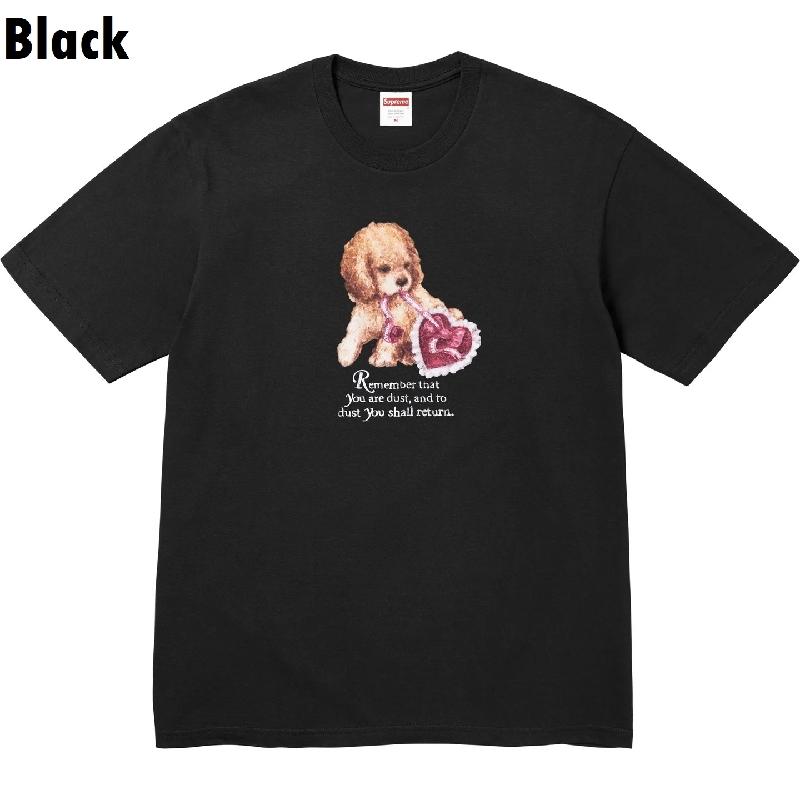 Supreme（シュプリーム） 大きいサイズ メンズ Dust Tee 半袖 Tシャツ