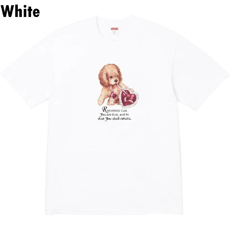 Supreme（シュプリーム） 大きいサイズ メンズ Dust Tee 半袖 Tシャツ