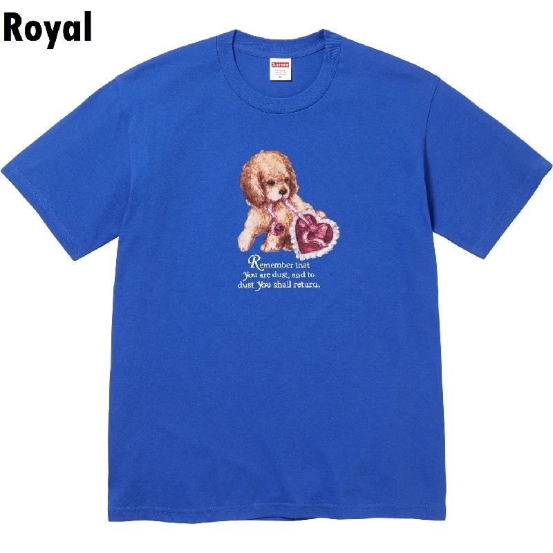 Supreme（シュプリーム） 大きいサイズ メンズ Dust Tee 半袖 Tシャツ