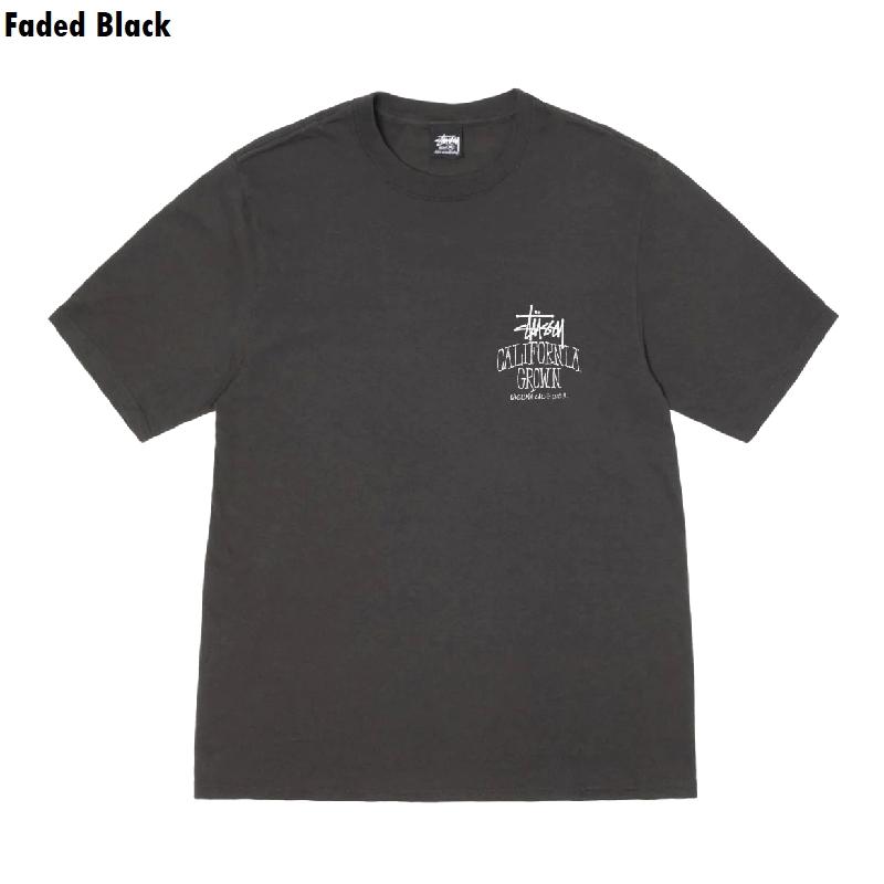 STUSSY 大きいサイズメンズ ステューシー 半袖 Tシャツ CALI