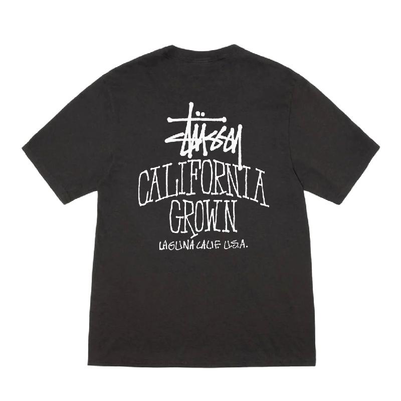 STUSSY California Grown tee tシャツ XL STUSSY (ステューシー) CALIFORNIA GROWN PIG.DYED TEE 1905135