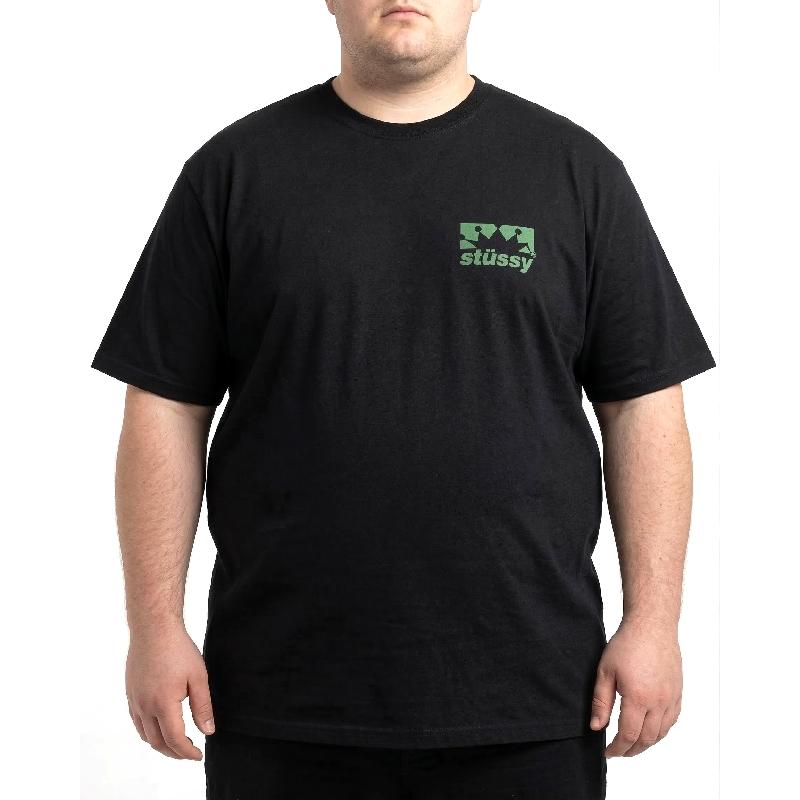 STUSSY（ステューシー） 大きいサイズメンズ 半袖 Tシャツ BOX CROWN