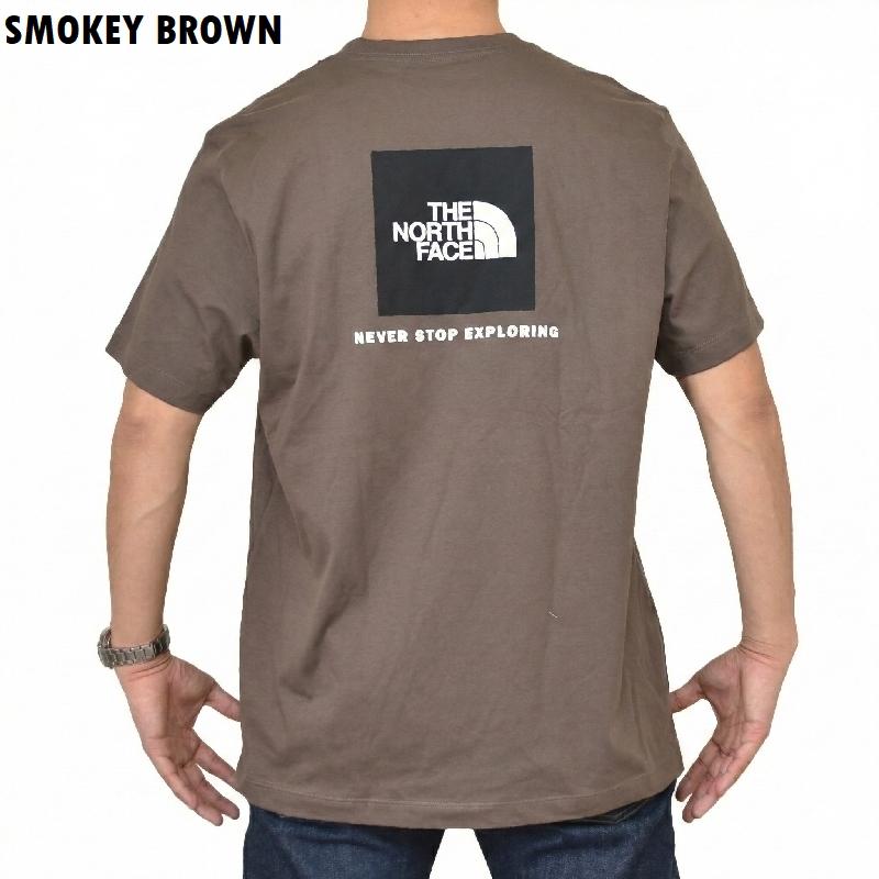 大きいサイズ メンズ ノースフェイス THE NORTH FACE 半袖 ボックスロゴ Ｔシャツ バックプリント BOX NSE TEE  USAモデル XL XXL XXXL | THE NORTH FACE | 14