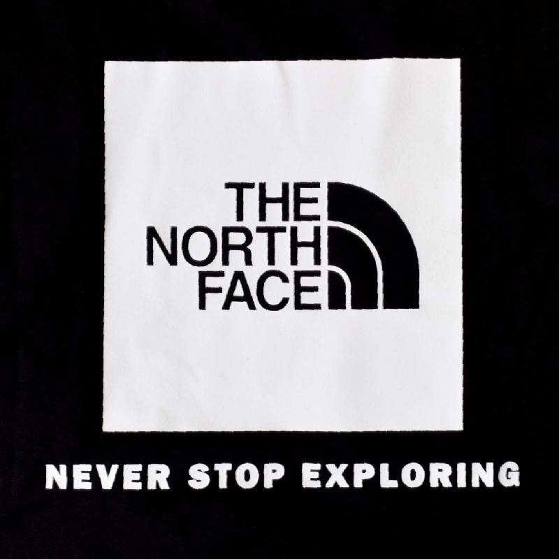 大きいサイズ メンズ ノースフェイス THE NORTH FACE 半袖 ボックスロゴ Ｔシャツ バックプリント BOX NSE TEE  USAモデル XL XXL XXXL | THE NORTH FACE | 04