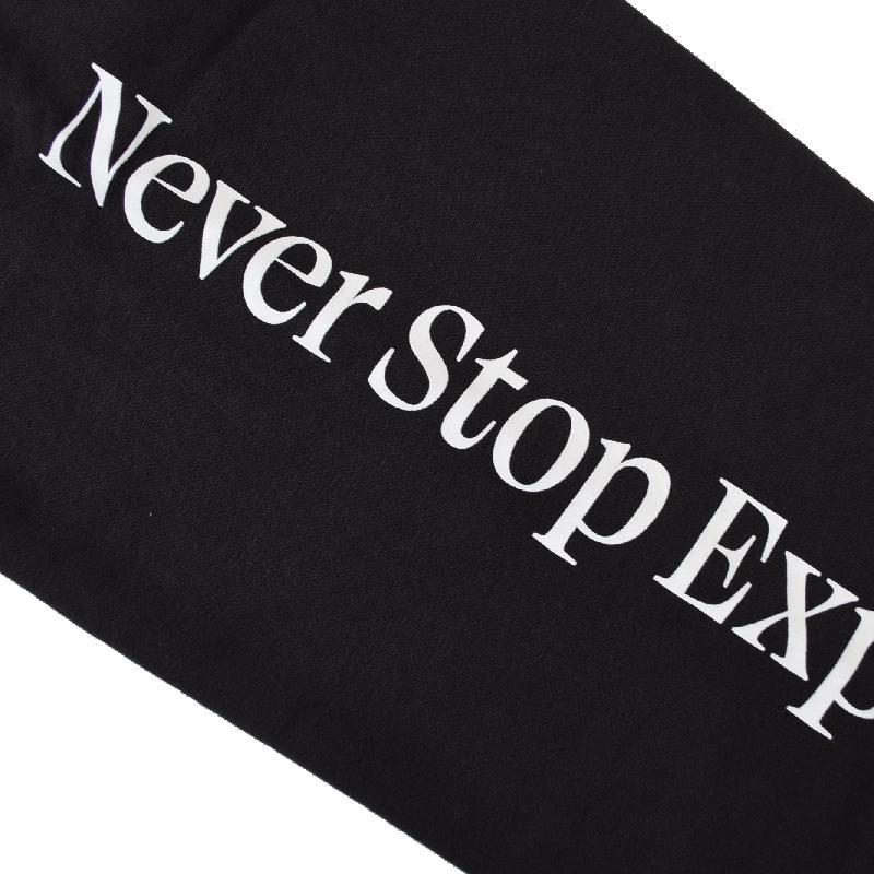 大きいサイズ メンズ ノースフェイス クルーネック スウェットシャツ トレーナー USAモデル THE NORTH FACE PLACES