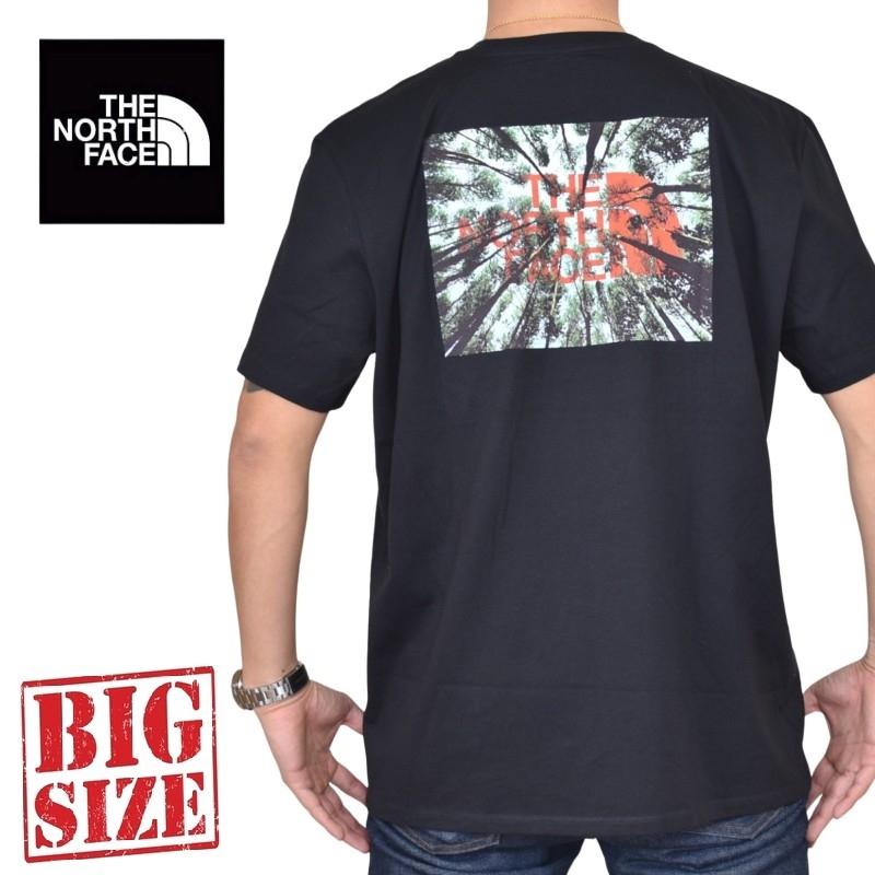 THE NORTH FACE（ザ ノースフェイス） 大きいサイズ メンズ ノース