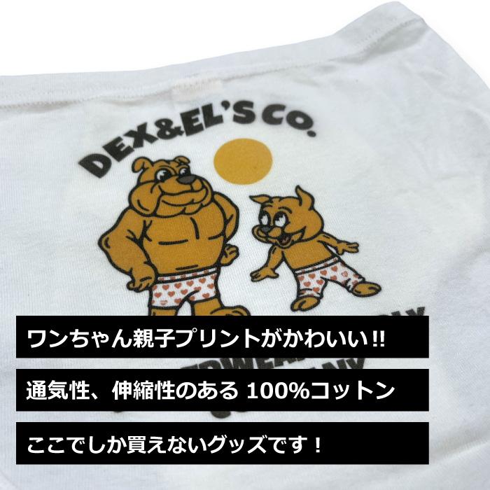 【創業7周年記念】DEX and EL's Underwear Company 「デックスとエルのパンツやさん」キッズ ブリーフ パンツ 企業ロゴ 【2枚セット】｜defmart｜04