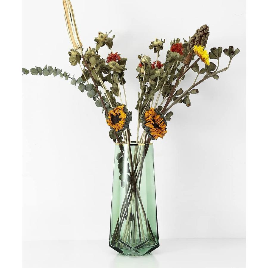 花瓶 Lewondr 花びん 高さ22cm がびん ガラス製 花活け フラワーベース ガラス容器 水栽培 テラリウム容器 生け花 ヒヤシンス Dehe Store 通販 Yahoo ショッピング