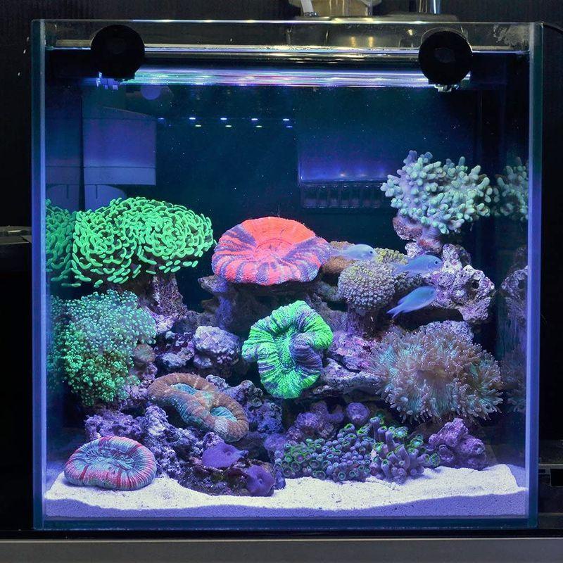 オンライン限定商品 ゼンスイ アンダーウォーターｌｅｄ スリム ６０ｃｍ ピュアブルー 水槽用照明 水中ライト 海水魚 サンゴ アクアリウム 沖縄別途送料 Shipsctc Org