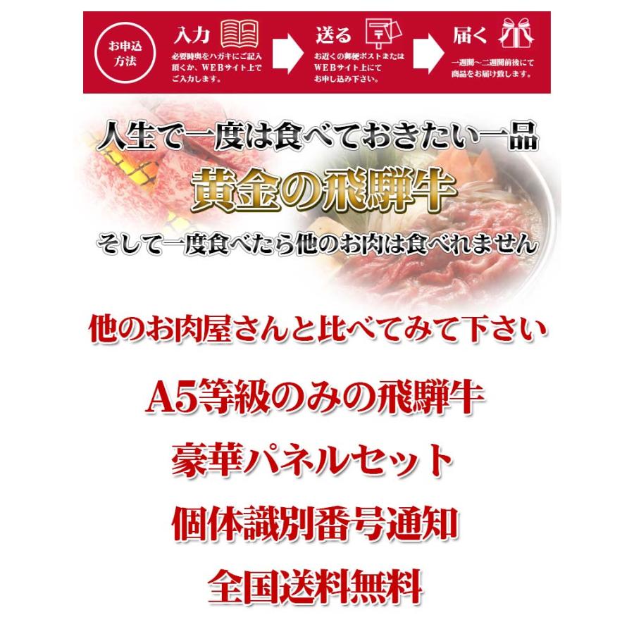 最高級A5等級飛騨牛 ギガ盛り豪華BBQセット2400g 2.4kg 焼肉 カルビ モモ ロース 牛肉 ギフト 特上 松坂牛 神戸牛 国産黒毛和牛 おいしい 贈り物 |  | 10