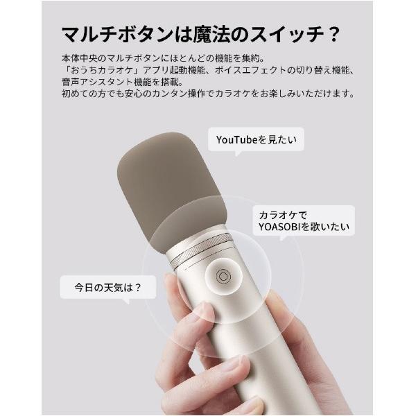AladdinX アラジンX Aladdin Mic2 アラジンマイク2 W303M (納期目安2-3