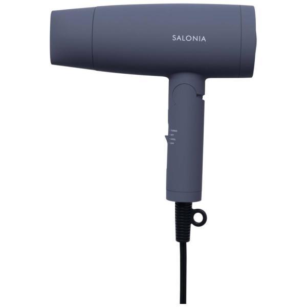 SALONIA スピーディーイオンドライヤー SL-013GR [GRAY] 買取価格比較