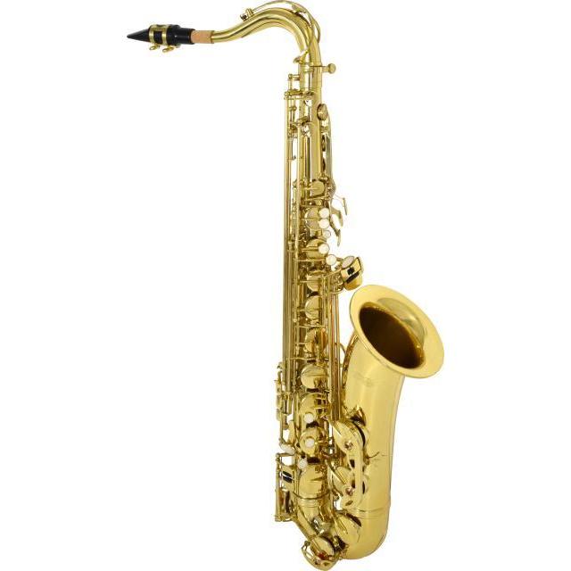 良品✨付属品多数✨Kaerntner KTN-65 テナーサックス サックス KTN-65(S.H) テナーサックス 1本 Kaerntner 【通販モノタロウ】