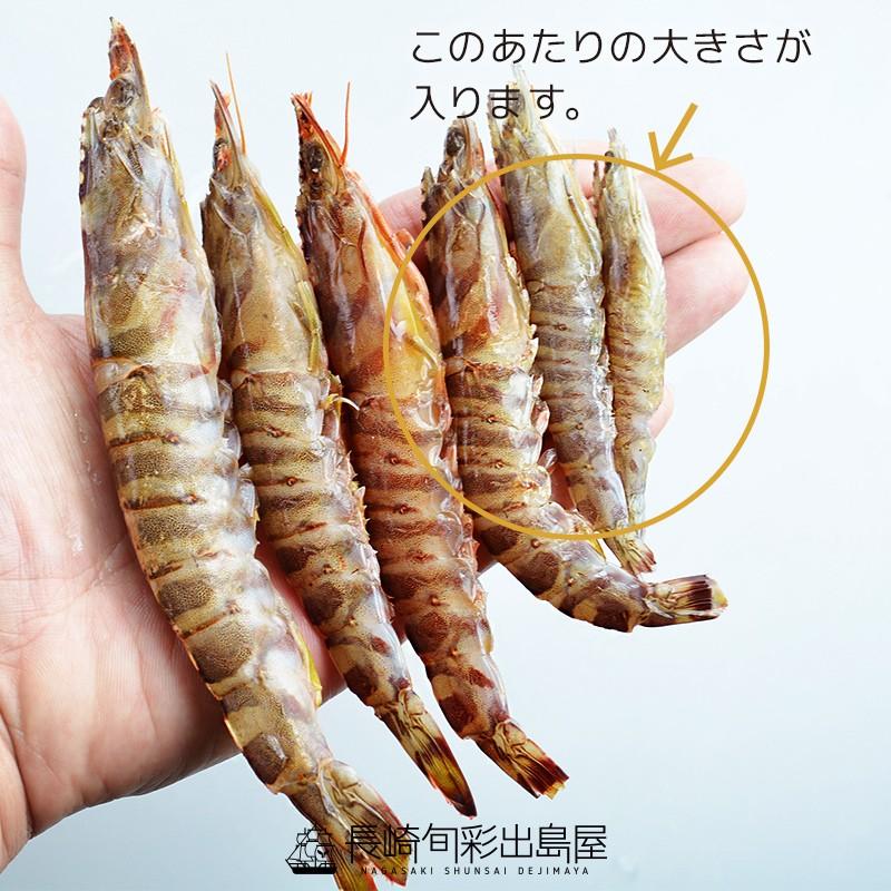 限定入荷 お1人様1点まで えび エビ 海老 鹿児島産 加熱用養殖活〆車海老 小巻 不揃い 70型 1kg やわら含む 車海老 くるまえび 冷凍 K 70 干物とおつまみの長崎旬彩出島屋 通販 Yahoo ショッピング