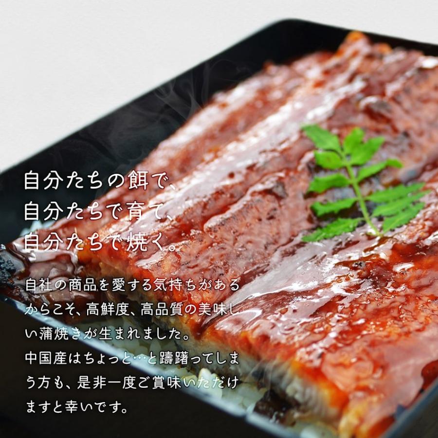 父の日 プレゼント 鰻 ウナギ うなぎ 特大うなぎの蒲焼き丸ごと1尾 300g以上 中国産 同一配送先に2セット以上でオマケ 冷凍便送料無料 父の日 ギフト Mf Una 干物とおつまみの長崎旬彩出島屋 通販 Yahoo ショッピング