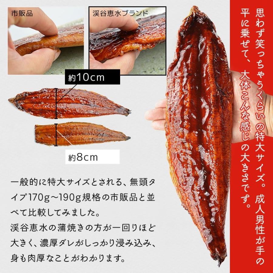 お歳暮ギフト 冬ギフト 鰻 ウナギ うなぎ 特大鰻の蒲焼き丸ごと1尾 300g以上 中国産 同一配送先に2セット以上でオマケ 冷凍便送料無料 50代 60代 70代 80代 Mf Una 干物とおつまみの長崎旬彩出島屋 通販 Yahoo ショッピング