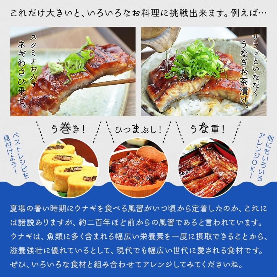 遅れてごめんね父の日 プレゼント 鰻 ウナギ うなぎ 特大鰻の蒲焼き丸ごと1尾 300g以上 中国産 同一配送先に2セット以上でオマケ 冷凍便送料無料 父の日 ギフト Mf Una 干物とおつまみの長崎旬彩出島屋 通販 Yahoo ショッピング