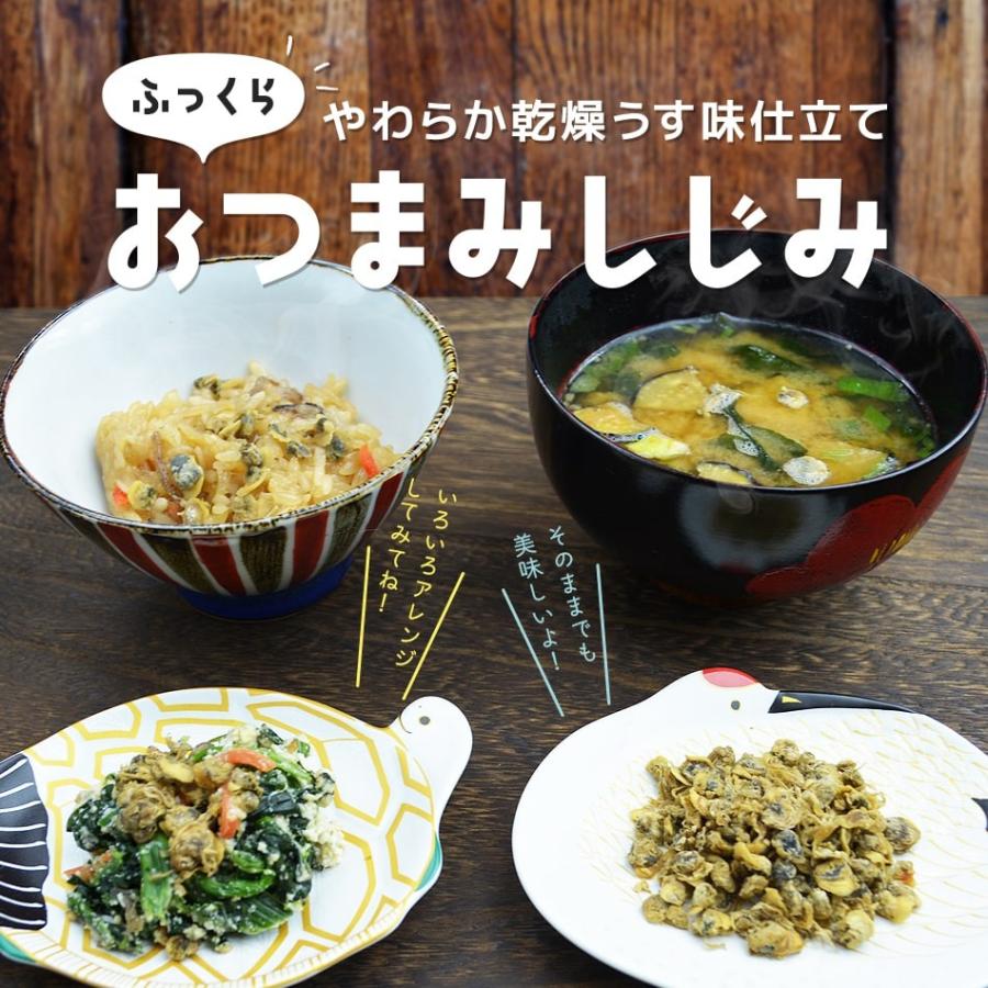 オルニチン しじみ シジミ ポイント消化 業務用 国内加工