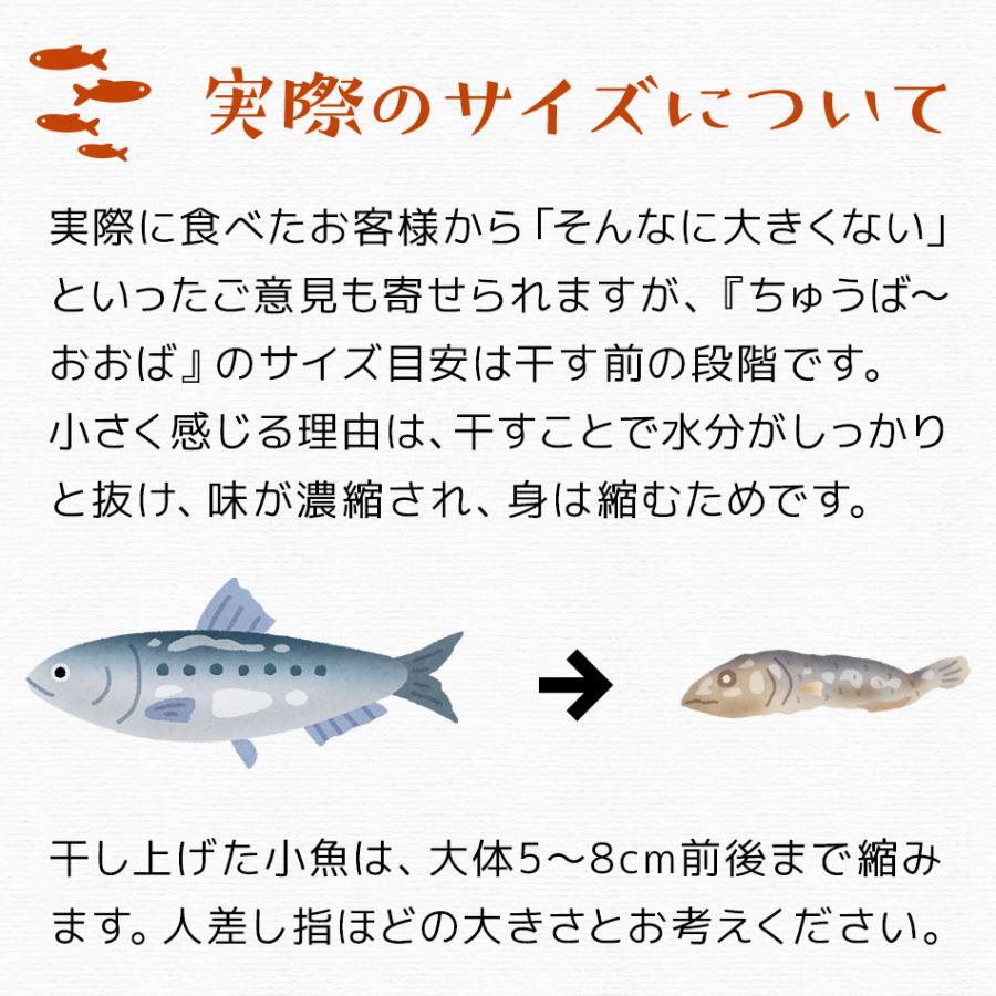 大幅減量145g 業務用 お徳用 非常食 防災食 無添加 無着色 ポイント