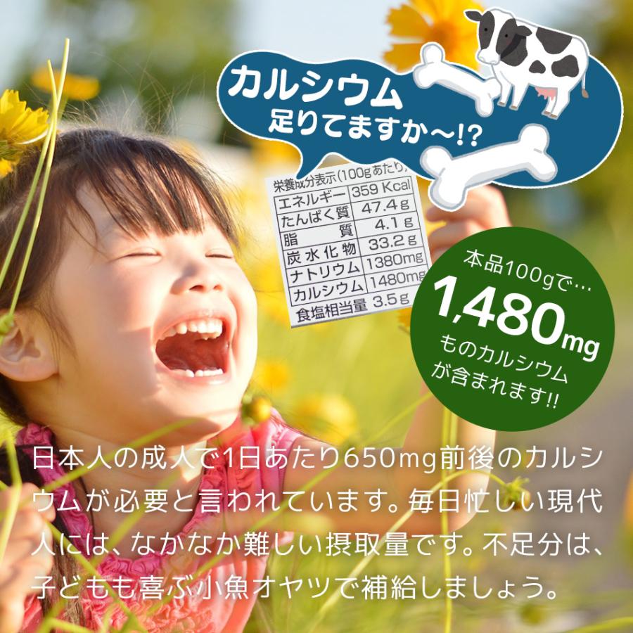 業務用 お徳用 非常食 防災食 無添加 無着色 ポイント消化 超特大 干物屋さんのサクサクごまいわし240g ネコポス送料無料 カルシウム おやつ Og Skk 干物とおつまみの長崎旬彩出島屋 通販 Yahoo ショッピング