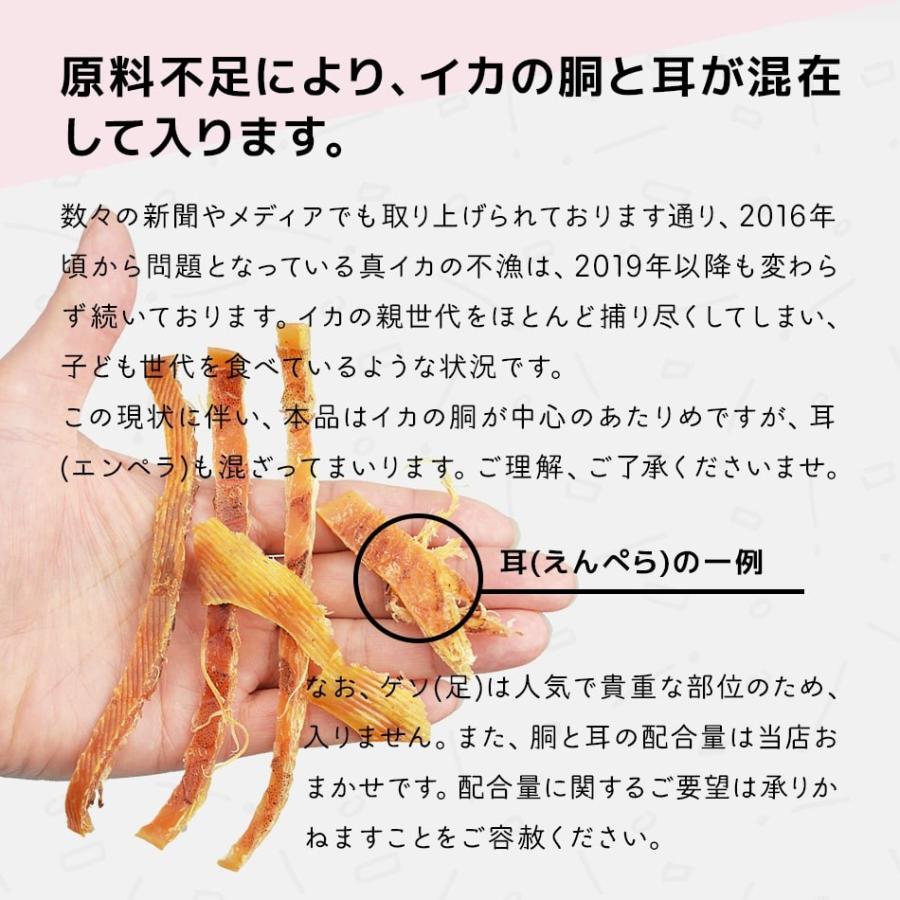 50 素晴らしいイカ の 部位 すべての魚の画像