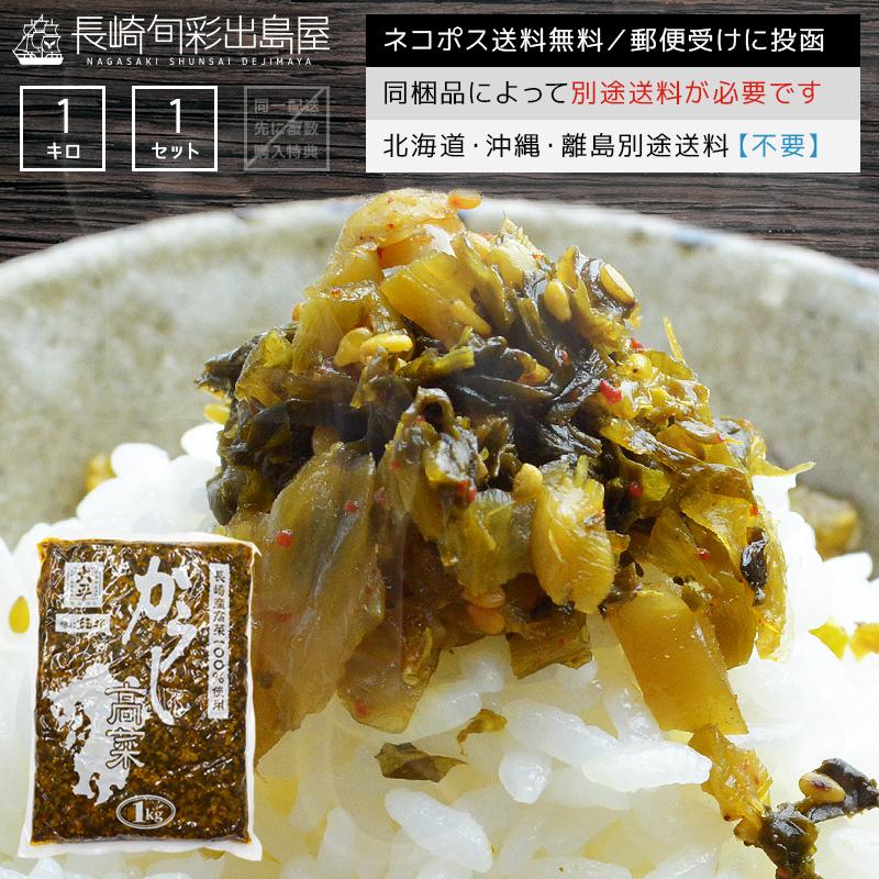 長崎県産100% 九州 長崎 老舗 長崎産 国産 業務用からし高菜1kg 辛子