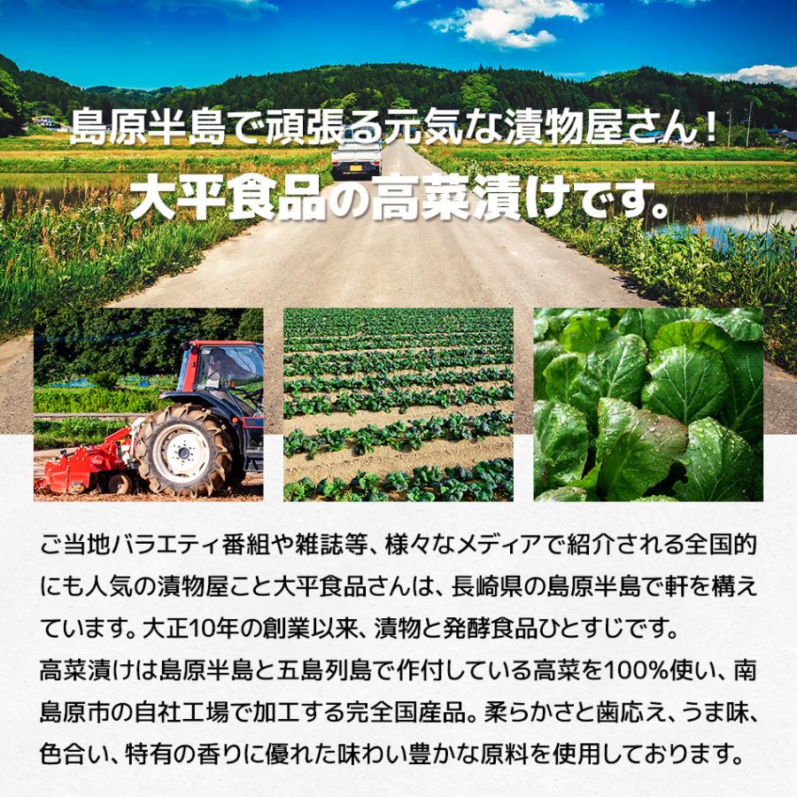 長崎県産100% 九州 長崎 老舗 長崎産 国産 からし高菜120g 3袋セット 辛子 刻み 高菜 漬け 漬物 たかな タカナ 大平食品 おつけもの ネコポス送料無料 |  | 03