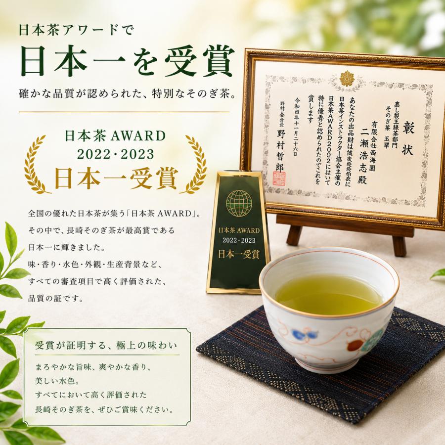 長崎県産 長崎そのぎ茶 ティーバッグ100包【ネコポス送料無料】緑茶