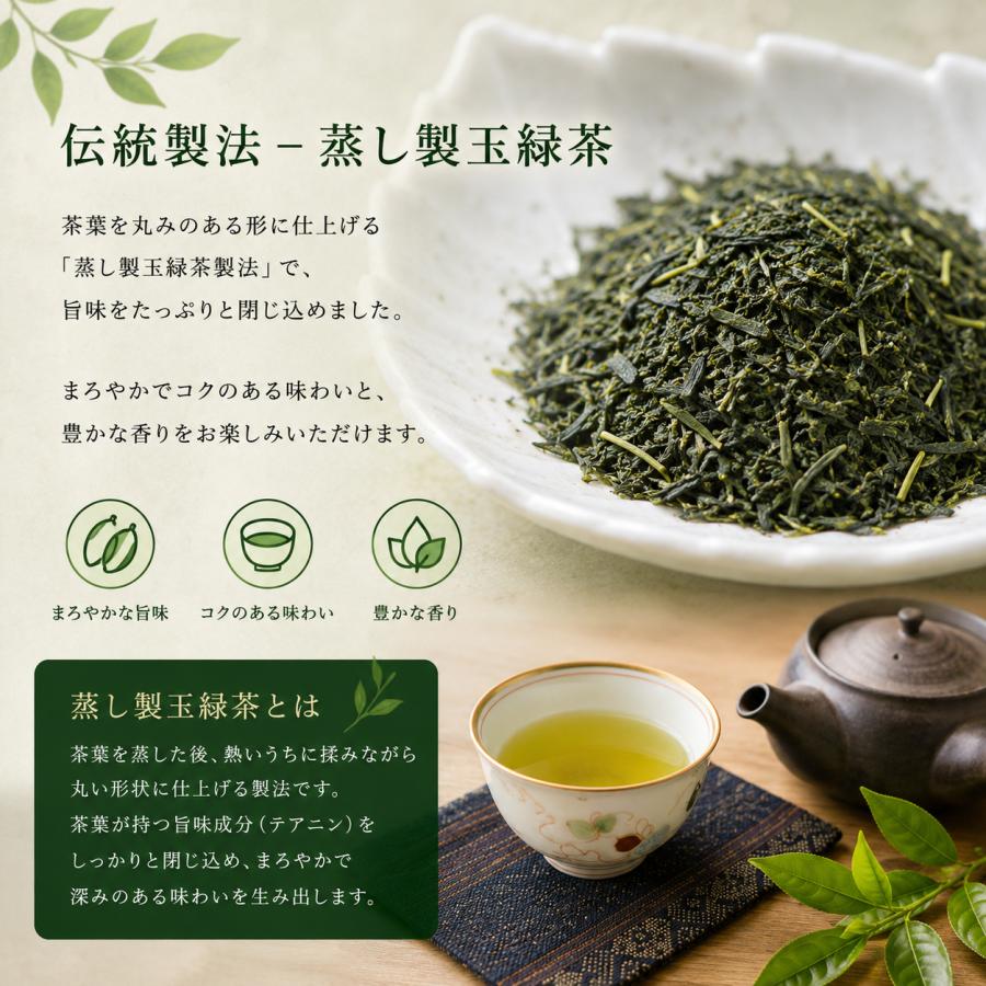 長崎県産 長崎そのぎ茶 ティーバッグ100包【ネコポス送料無料】 全国