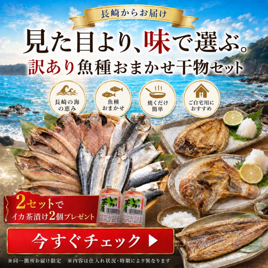 干物 詰め合わせ 訳あり産直おまかせ干物セット 同一配送先2セット以上 