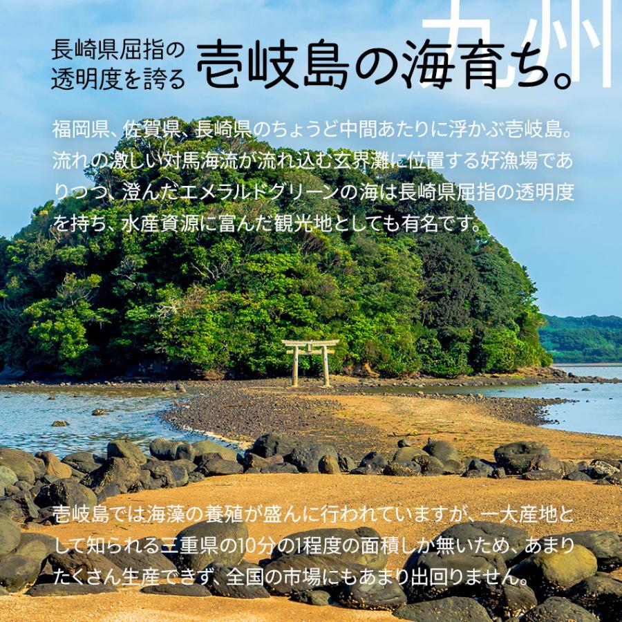 あおさ アオサ アーサ 国産 無添加 お得なボリュームパック！長崎県壱岐産乾燥あおさ7袋 ひとえぐさ ヒトエグサ 常温便送料無料｜dejimaya-netstore｜05