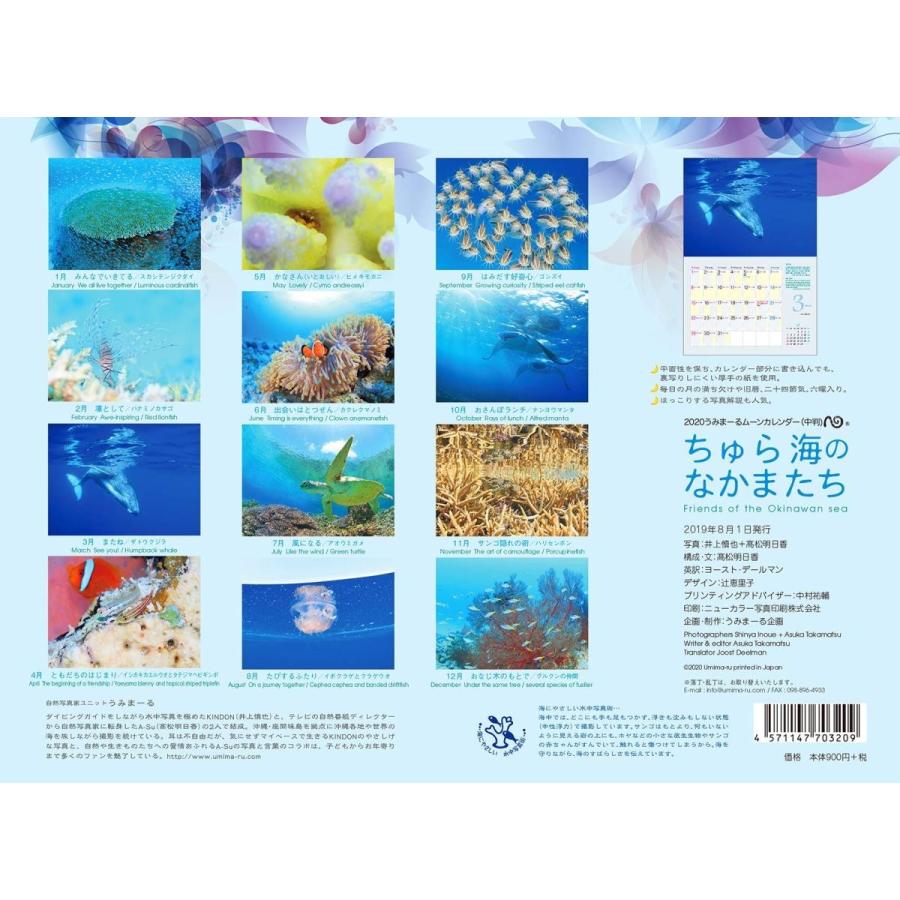 うみまーる中判ムーンカレンダー ちゅら海のなかまたち Friends Of The Okinawan Sea 月の満ち欠け B07w3rrqwy Delantero 通販 Yahoo ショッピング