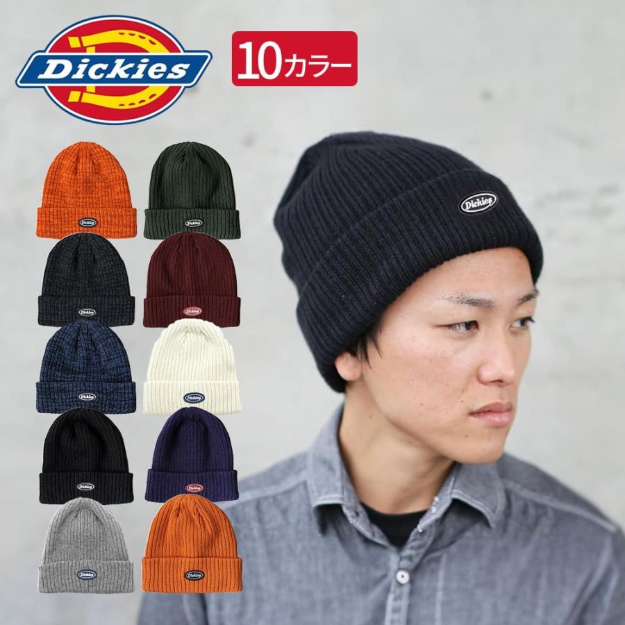 Dickies（ディッキーズ） CALIF リブ編み ニットキャップ ロゴ
