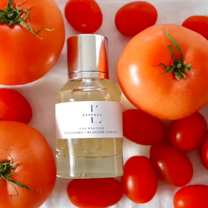 L'ESSENZA EAU FRAICHE POMODORO 香水 エッセンツァ プルサンテ ( ユーファースト ) 香水 ポモドーロ