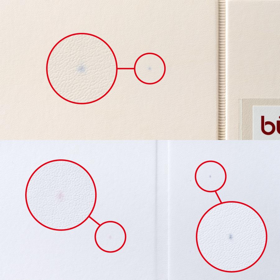 DELFONICS（デルフォニックス） リングファイル バインダー A4サイズ