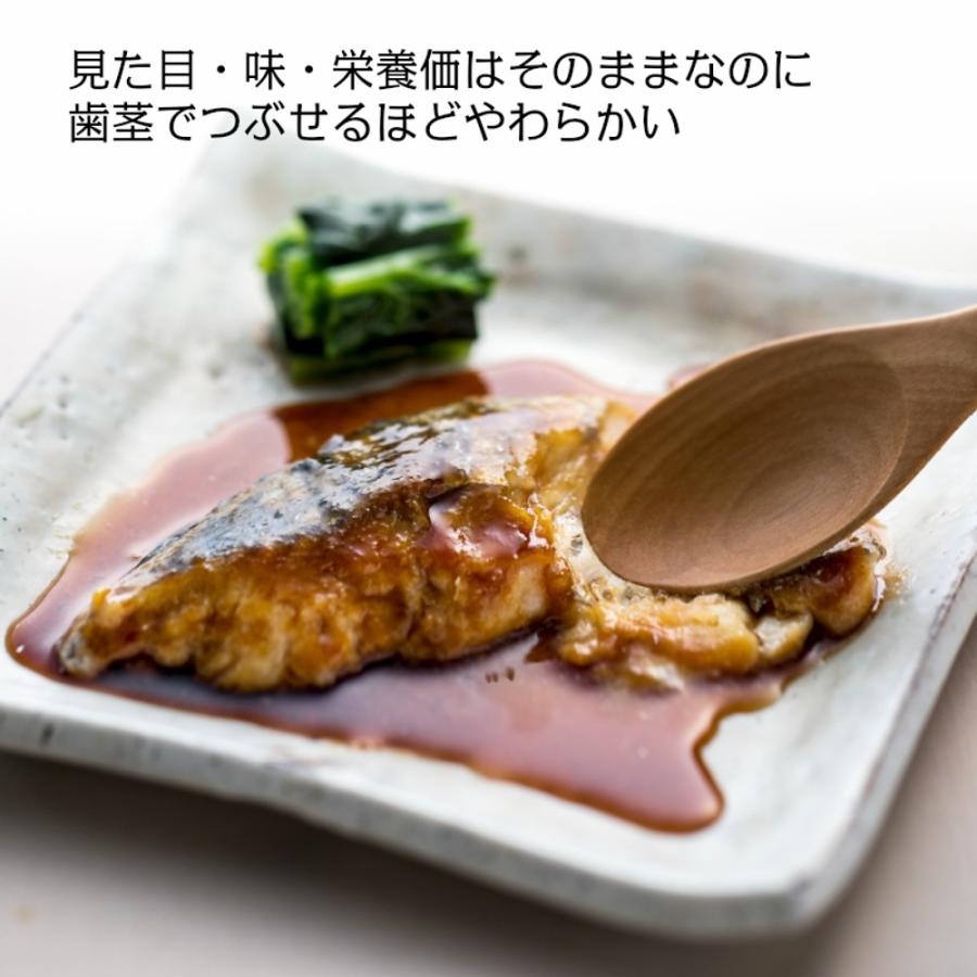 介護食 健康うちごはん 送料無料 やわらかい食事 ミキサー食 刻み食 減塩 ｍｆｓやわらか減塩食 お試しセット 6食入り Mfs Yawagen デリキューブyahoo ショップ 通販 Yahoo ショッピング