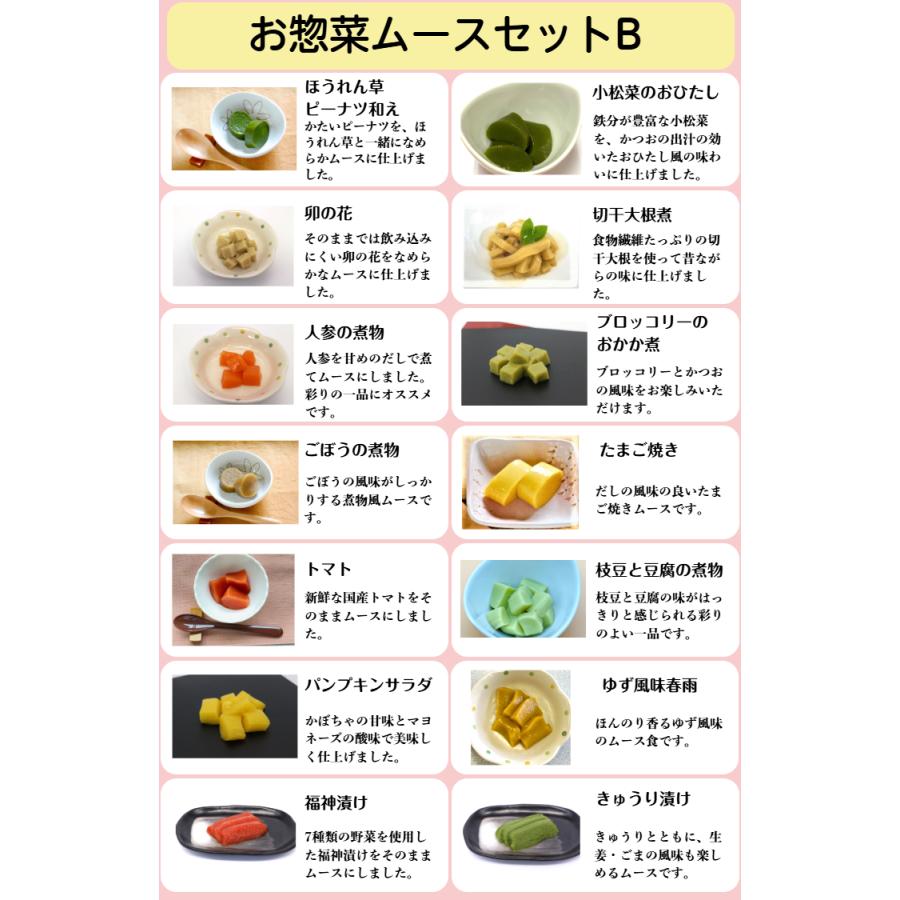 介護食 冷凍 ムース食 お惣菜ムースセットB(14個入り) 高齢者 食事 舌