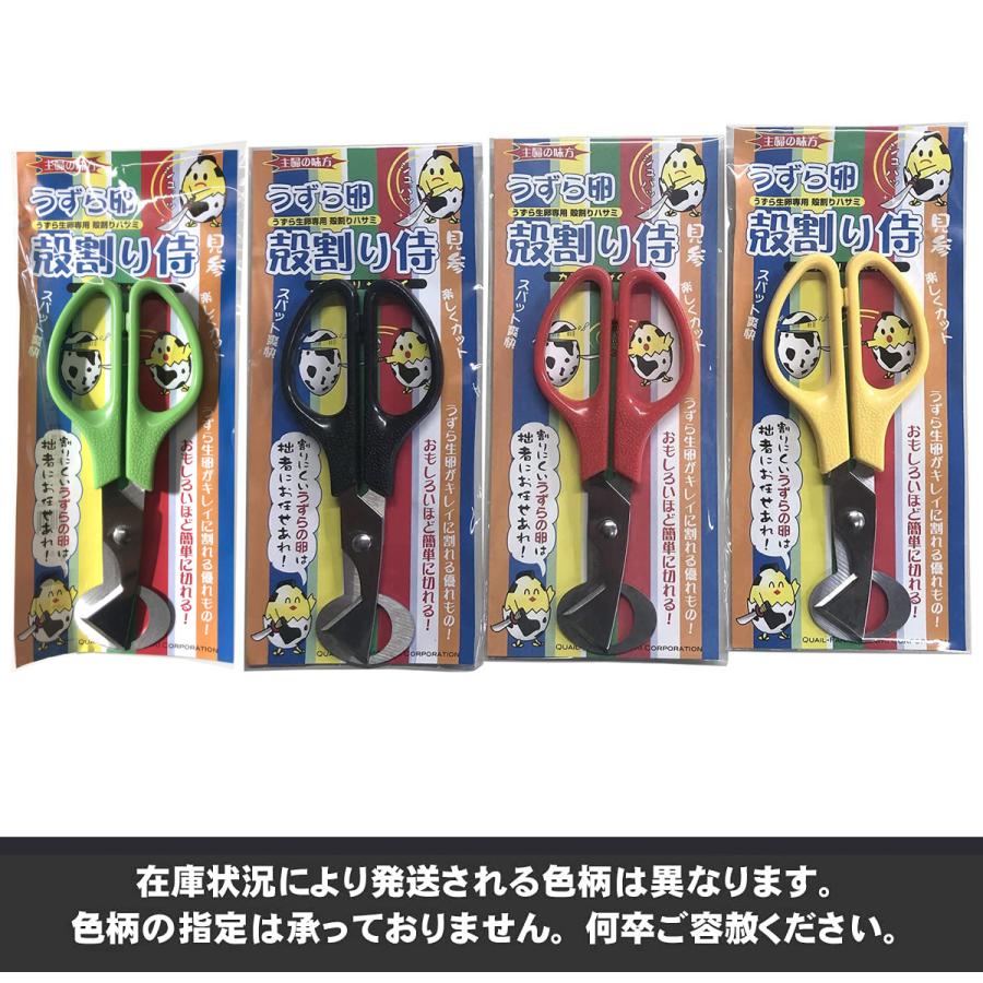 うずらや]うずらの卵とうずらの生卵専用殻割りはさみのセット 豊橋名産