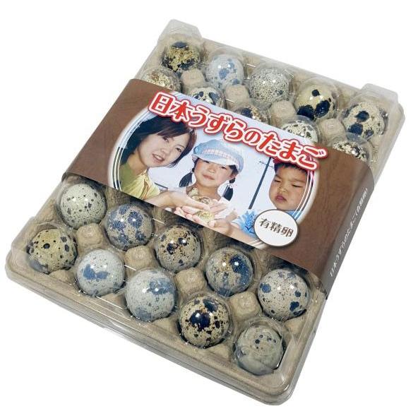 うずらや]うずらの有精卵・小型自動孵卵器（孵化器）・餌 3点セット