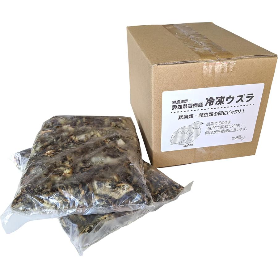 送料無料　訳あり冷凍ウズラ70匹 送料無料 訳あり冷凍ウズラ70匹 送料無料 訳あり冷凍ウズラ70匹