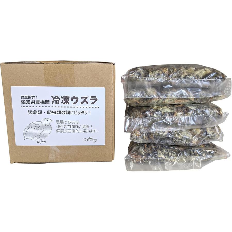 せなり様 冷凍ヒナウズラ5袋約500匹。猛禽、爬虫類等の餌に。
