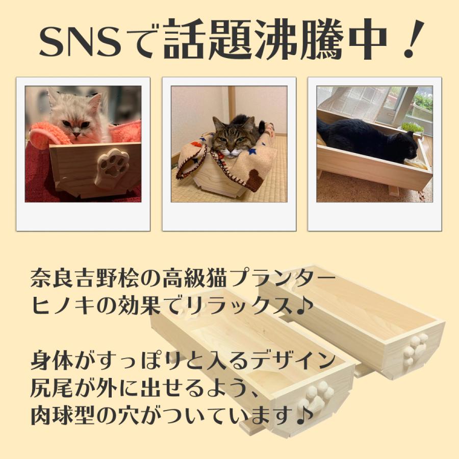 猫のベッド 夏用 肉球 おしゃれ 奈良吉野桧 猫プランター かわいい肉球付き (大) 木製  エコ やさしい |  | 04