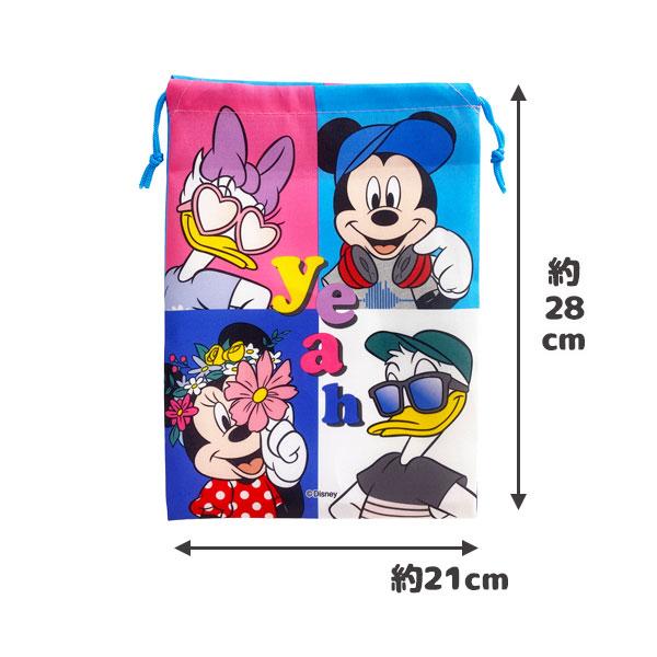 Disneyディズニー100 ブランケット クッション ファイル バッグ巾着袋