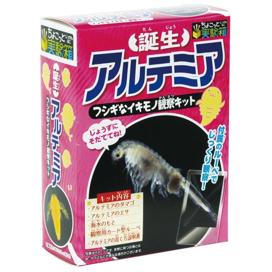 子供 景品 誕生アルテミア観察キット 1ヶから販売 子ども会 イベント プチギフト Y N3076 デライトベース 通販 Yahoo ショッピング
