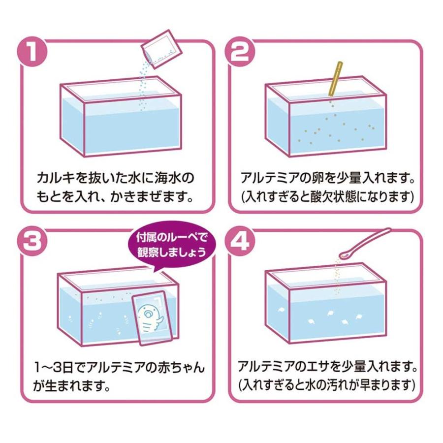 誕生アルテミア観察キット 1ヶから販売 Y N3076 デライトベース 通販 Yahoo ショッピング