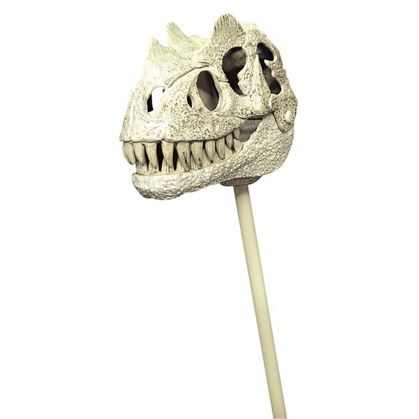 化石恐竜 ガブット 1号 1ヶから販売 Y N3549 デライトベース 通販 Yahoo ショッピング