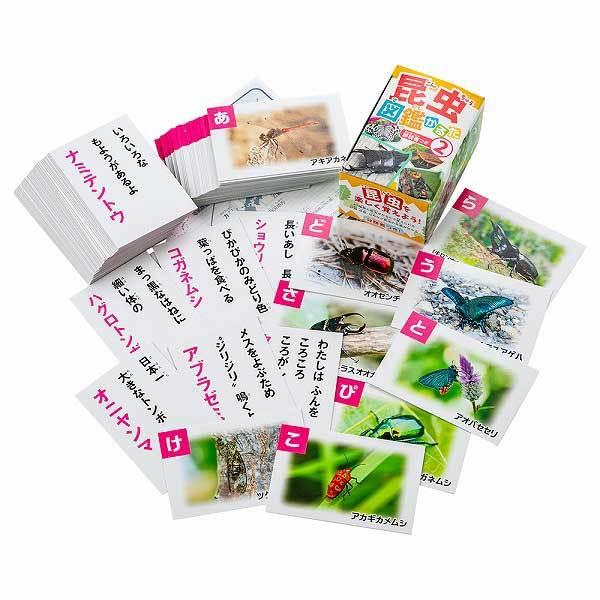 子供 景品 昆虫図鑑かるた 10ヶ1セット 子ども会 イベント プチギフト 知育玩具 Y N4097 デライトベース 通販 Yahoo ショッピング