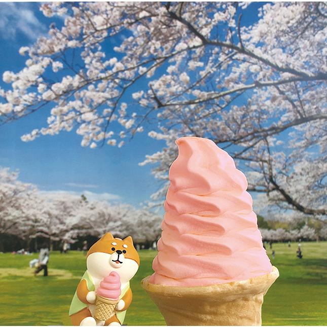 コンコンブル　お花見  & リーメント 和・花見 sweets　セット 楽天市場】【 完売商品 】 ちゅんちゅん桜 しあわせ、まんぷく