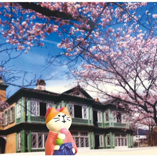 デコレ コンコンブル お花見 21年新作 富士桜猫 Zsa 桜 桜めぐり旅 ご当地 静岡 クリックポスト不可 ポイント消化 Delight 通販 Yahoo ショッピング