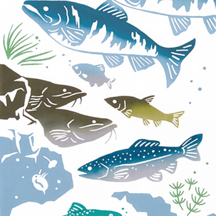 日本手ぬぐい 和柄 おしゃれ 淡水魚 生き物 kenema 注染 手拭い